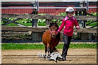 4H-FUN-061017-1458.jpg