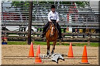 4H-FUN-061017-1485.jpg