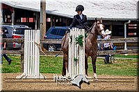 4H-FUN-061017-1504.jpg