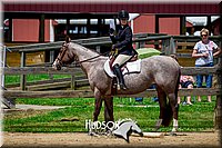 4H-FUN-061017-1508.jpg