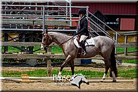 4H-FUN-061017-1509.jpg