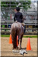 4H-FUN-061017-1513.jpg