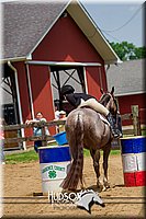 4H-FUN-061017-1518.jpg