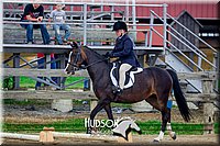 4H-FUN-061017-1569.jpg