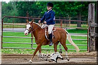 4H-FUN-061017-1583.jpg