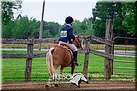 4H-FUN-061017-1589.jpg