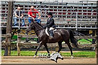 4H-FUN-061017-1599.jpg