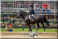 4H-FUN-061017-1600.jpg