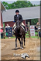 4H-FUN-061017-1612.jpg