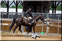 4H-FUN-061017-1615.jpg