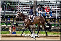 4H-FUN-061017-1641.jpg