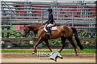 4H-FUN-061017-1628.jpg