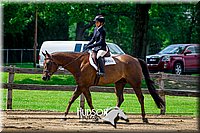 4H-FUN-061017-1677.jpg