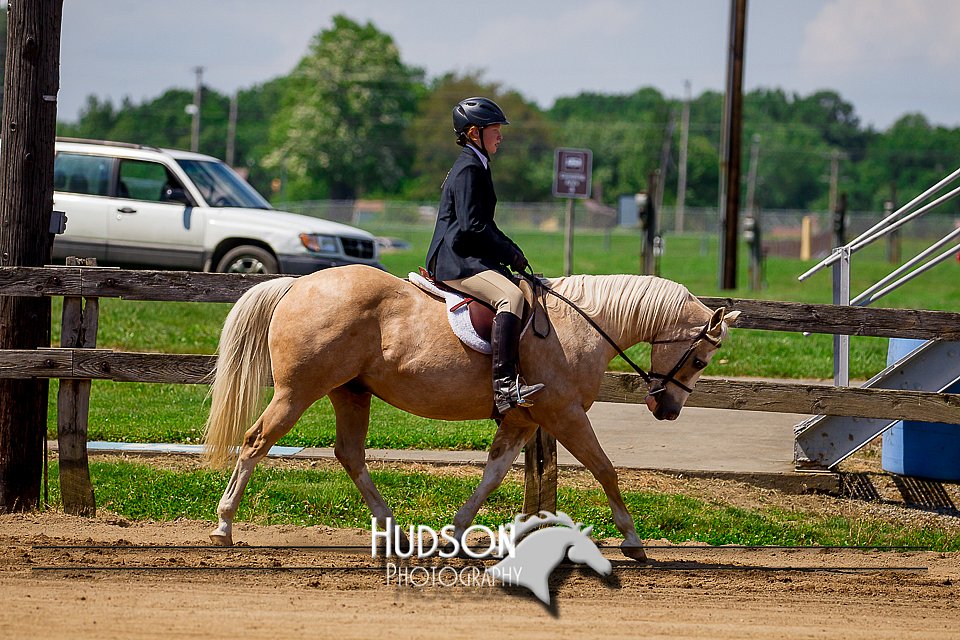 4H-FUN-061017-1724.jpg