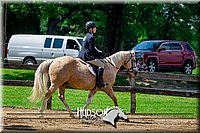 4H-FUN-061017-1722.jpg