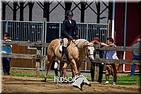 4H-FUN-061017-1728.jpg