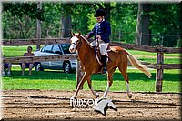 4H-FUN-061017-1736.jpg