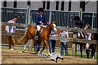 4H-FUN-061017-1738.jpg