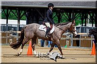 4H-FUN-061017-1749.jpg