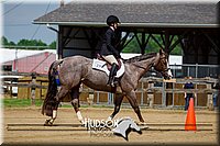 4H-FUN-061017-1757.jpg