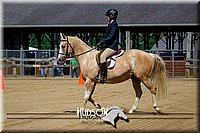 4H-FUN-061017-1798.jpg