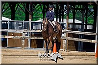 4H-FUN-061017-1823.jpg