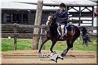 4H-FUN-061017-1836.jpg