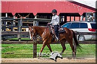 4H-FUN-061017-1928.jpg