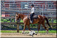 4H-FUN-061017-1935.jpg