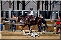 4H-FUN-061017-2072.jpg