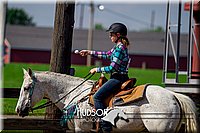 4H-FUN-061017-2096.jpg