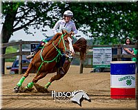 19. Barrels Horse, Sr. Rider