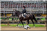 44. Classic HUS Horse - Sr. Rider
