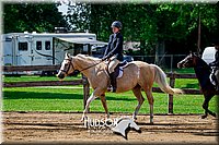 48. Hunt Seat Pleasure Pony