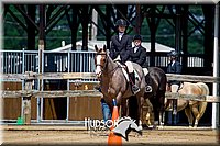 50. Hunt Seat Equit - Sr. Rider