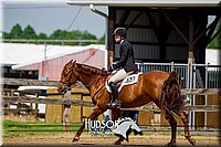 51. Hunt Seat Equit - Intermediate