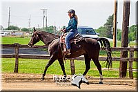 55. Western Pleasure Horse - Sr. Rider