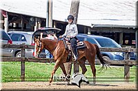 56. Western Pleasure Horse - Jr. Rider