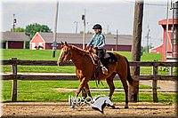 60. Beginner Western Horsemanship