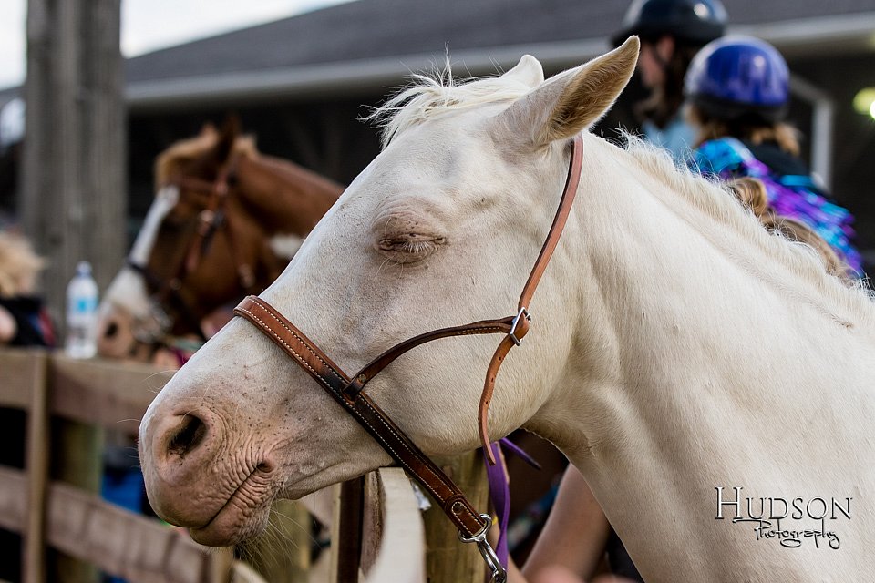 LCFAIR-081817-0830.jpg