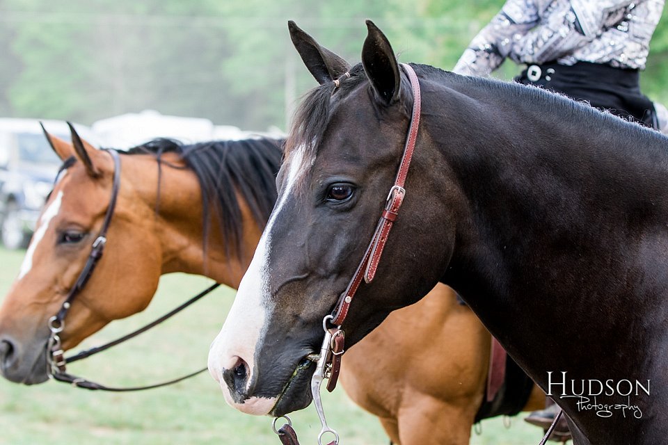 LCFAIR-081817-1531.jpg