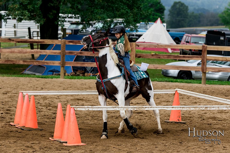 LCFAIR-081817-0082.jpg