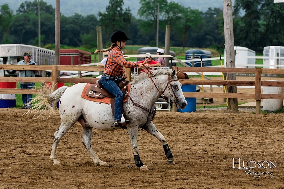 LCFAIR-081817-0094.jpg
