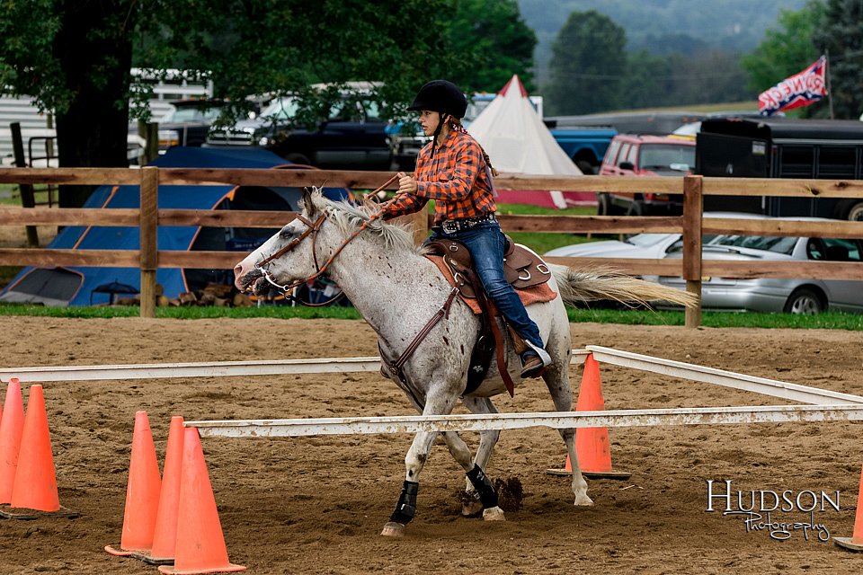LCFAIR-081817-0096.jpg
