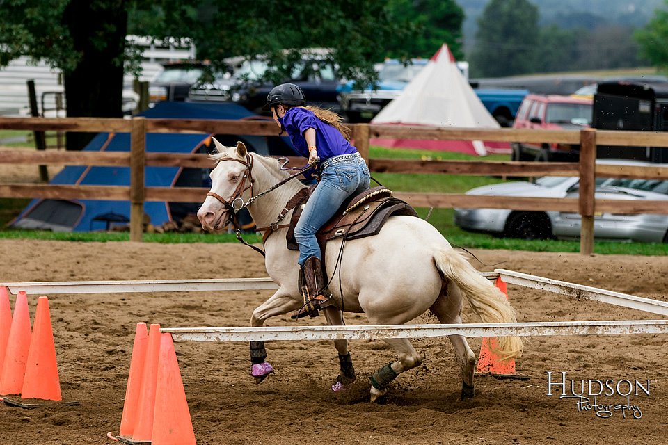 LCFAIR-081817-0137.jpg