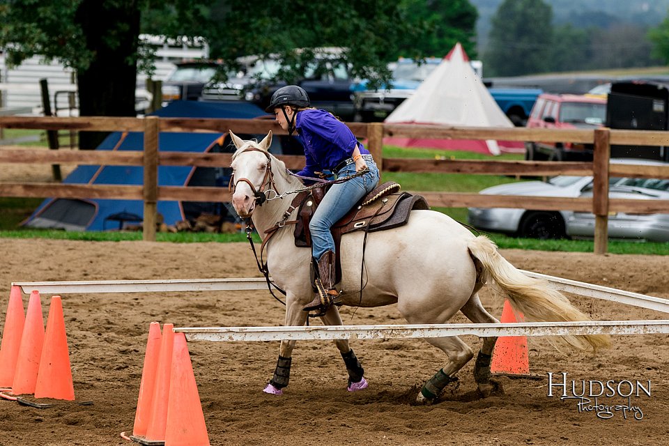 LCFAIR-081817-0138.jpg