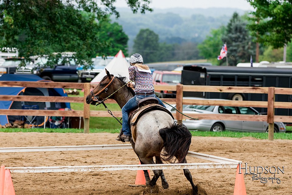 LCFAIR-081817-0144.jpg