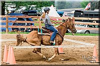 LCFAIR-081817-0103.jpg