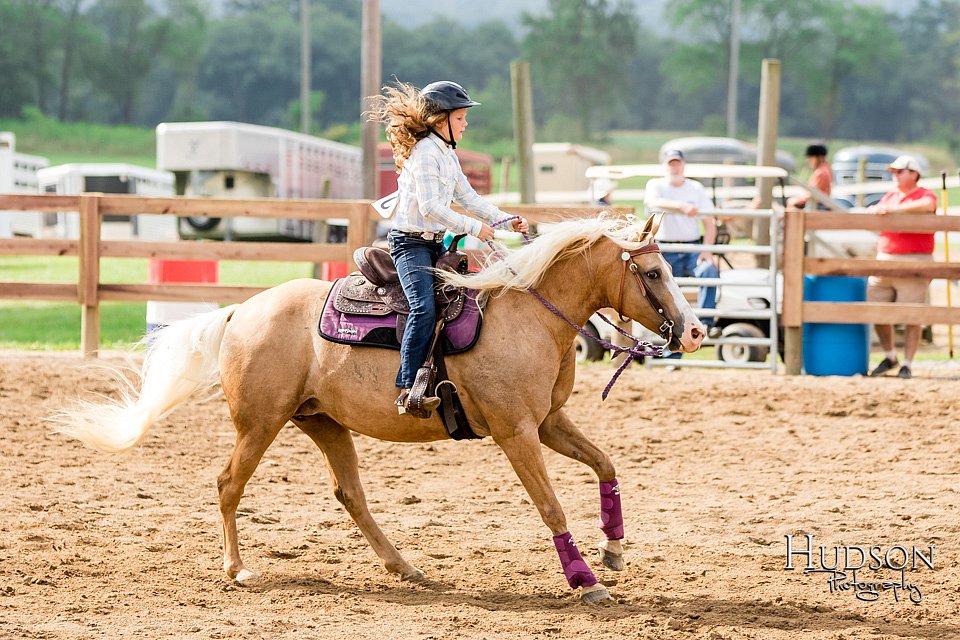 LCFAIR-081817-0223.jpg