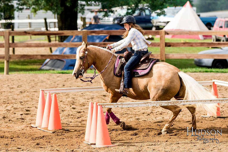 LCFAIR-081817-0226.jpg